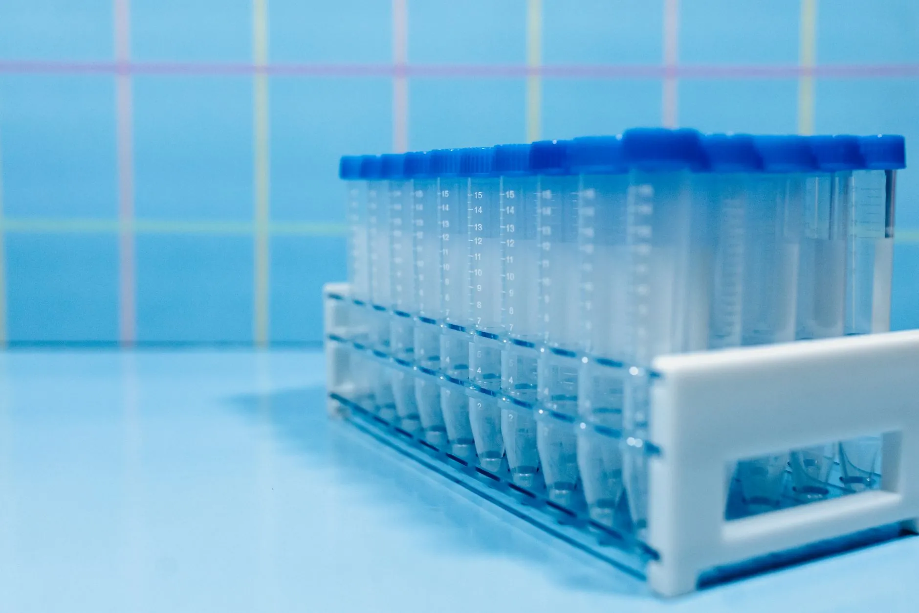 家庭餐饮场景保鲜膜厚度与粘性选择技术指南